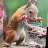 @Howhairythatbeaver41 Avatar