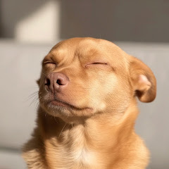 Trendy Conservatives