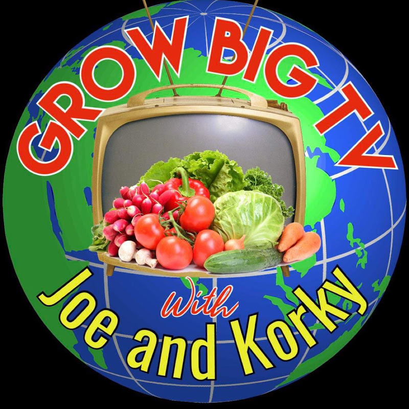 Grow Big TV 