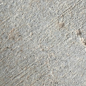 The Sidewalk Scavenger