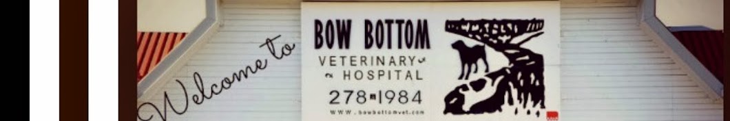 Bow Bottom Veterinary Hospital Avatar channel YouTube 