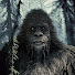 SiMV5FQ44B8-channel-avatar-Wildman of the Woods