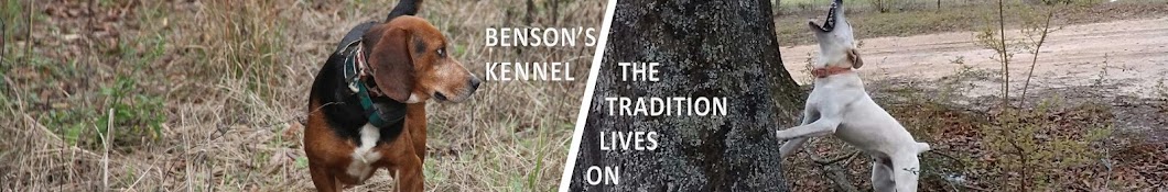 Benson's Kennel Avatar canale YouTube 
