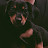 @Cutelittlepuppy-q3e