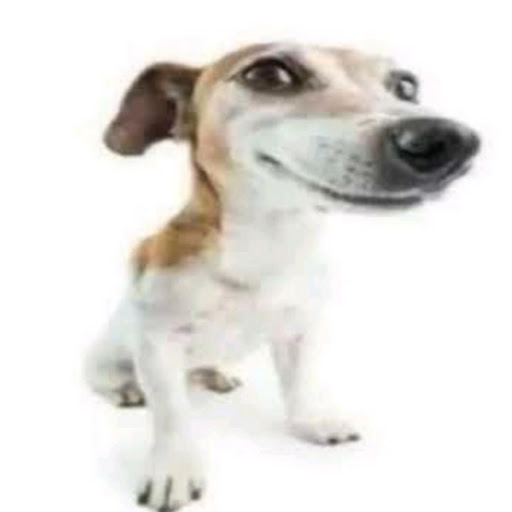チャンネル画像