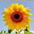@LifeIsGood-369-j2u