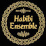-BwPvd804bc-channel-avatar-Habibi Ensemble