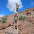 UExTSYNZ5uI-channel-avatar-El tio explorando Explorando