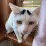 cZ54BAfTCAo-channel-avatar-Filda