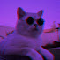 EKcVql4rlss-channel-avatar-Axjou India