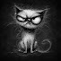nN3kKOS_3cI-channel-avatar-Stray STORIES