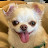 @jolgoo