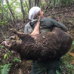 ワイルドジャーニー Wild Journey