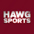 _uEn6AOIrrA-channel-avatar-HawgSports