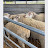 Ile-De-France Sheep Farm
