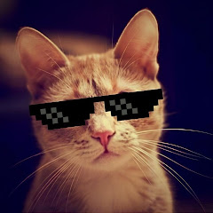 Кошачий мир