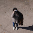 ChHkxF9r4lc-channel-avatar-HANUEE 하뉴이