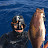 omer spearfishing life