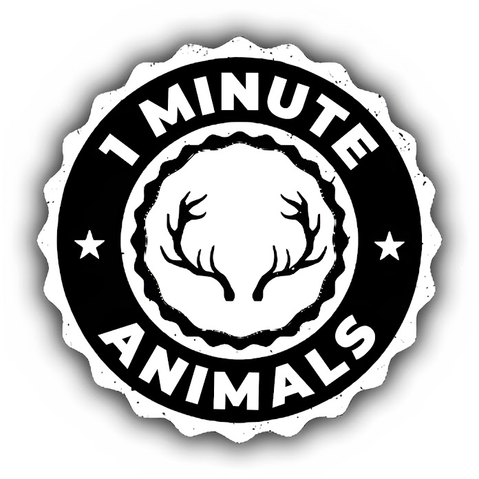1 Minute Animals Net Worth & Earnings (2024)