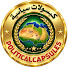 wObhPHNiSvE-channel-avatar-كبسولات سياسية Politicalcapsules