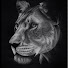 6kEGFF1CL6I-channel-avatar-KENYAN LIONESS IN CALIFORNIA 