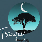 Tranquil Journey