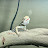 @ChristianDoan-s8z Avatar