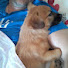 Channel Image
