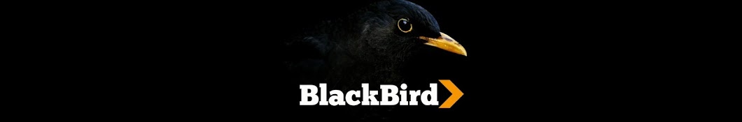 BlackBirdMusic YouTube kanalı avatarı