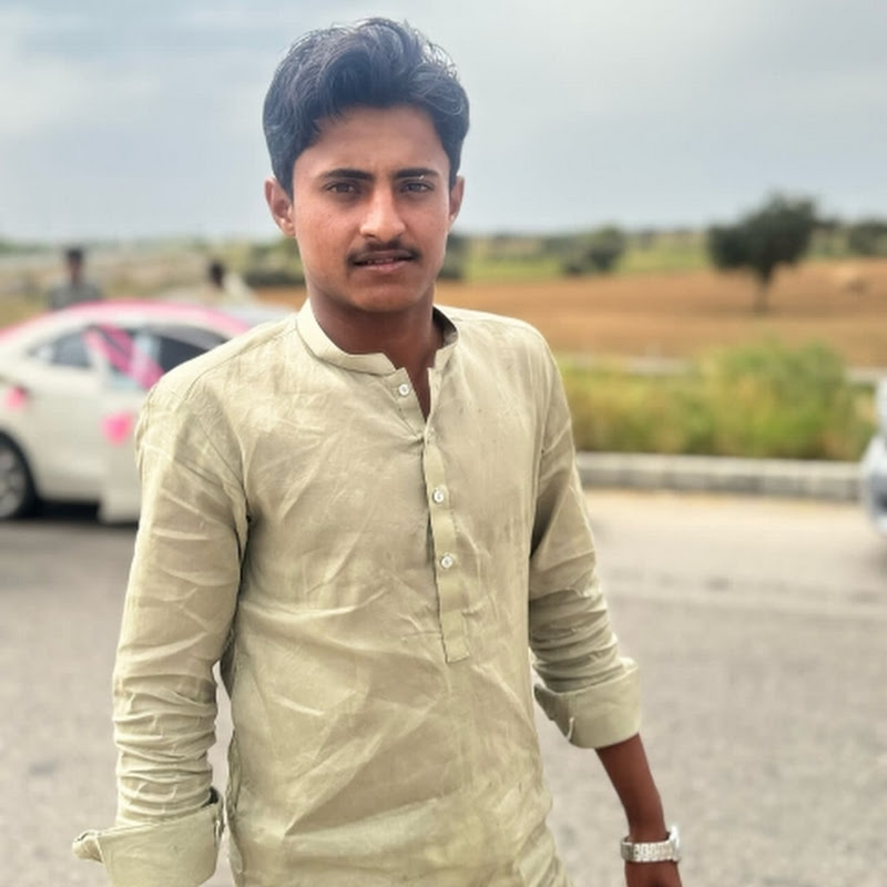 Malik Hasnain387