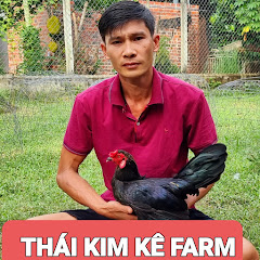 Thái Kim Kê Farm Avatar