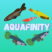 Aquafinity