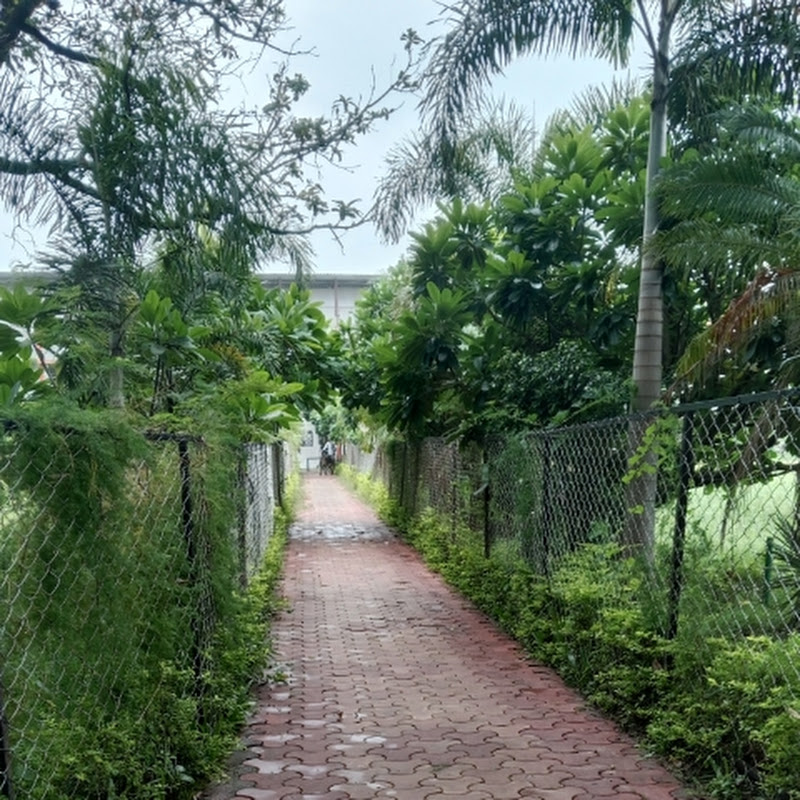 Ravi bhaiya • 890K views • 2 days ago



...