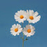 cHC2M0hdKCU-channel-avatar-포 시즌 플리 Four Seasons Playlist