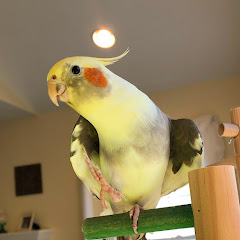 Larry Bird