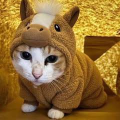 めーちゃんの日常😊