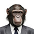 p9KAm9HohzU-channel-avatar-Chimptistic