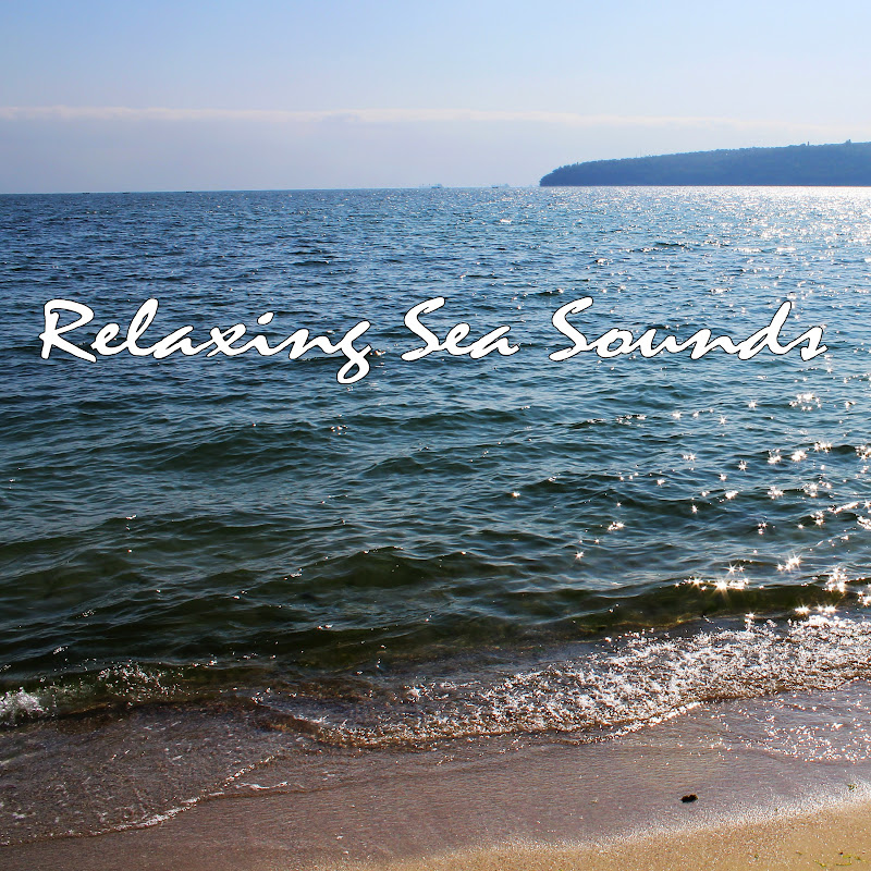 Nature Sounds - Topic