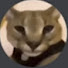6RJFfRUE1is-channel-avatar-Hecker