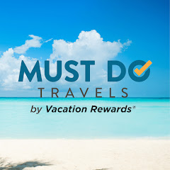 Must Do Travels net worth