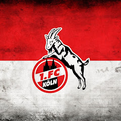 1. FC KÖLN NACHRICHT