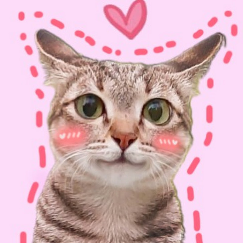 去有风的地方 Logo