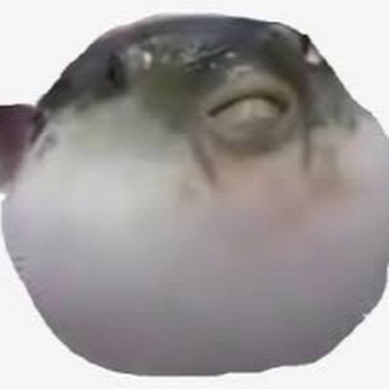 wabungusreal
