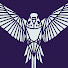 Ul8c03qQ1XA-channel-avatar-Budgie Nation