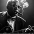 waLrnG6OWz8-channel-avatar-Chicago Midnight Blues