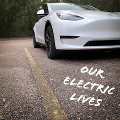 Our Electric Lives
