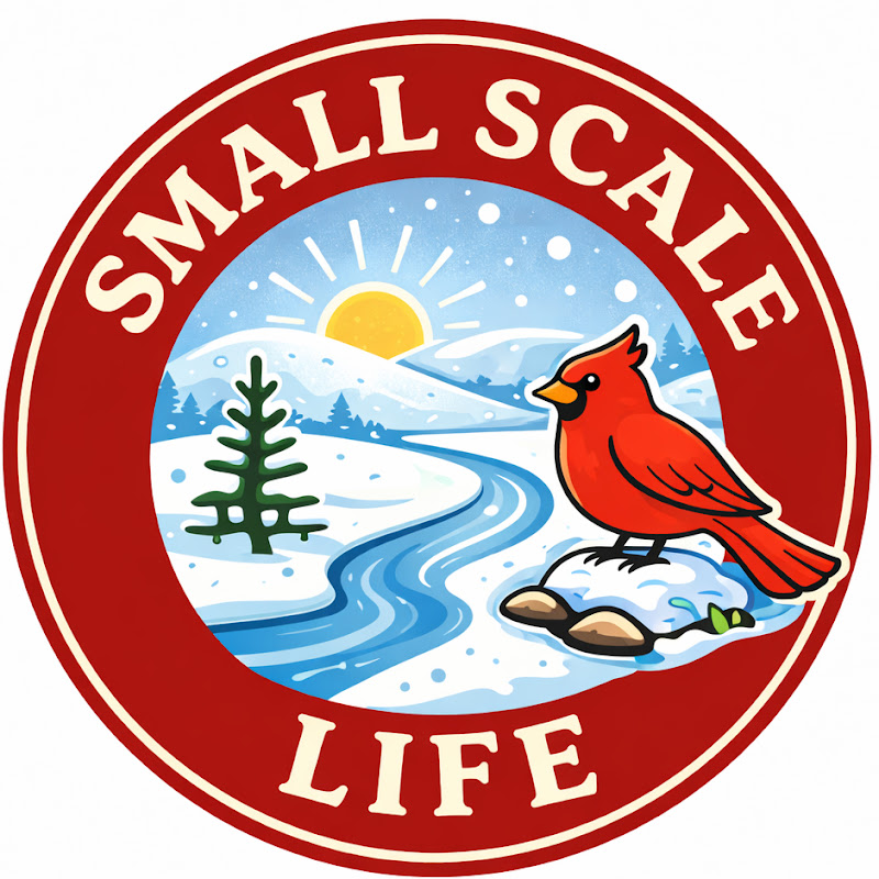 Small Scale Life