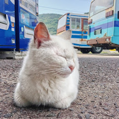 がチョット感動した話 #705