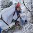 Tk76_jsMrh8-channel-avatar-Kc's hobby horses!