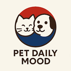 펫데일리무드